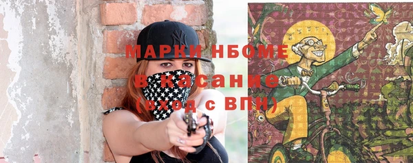 прущие грибы Алзамай
