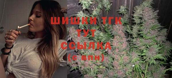 прущие грибы Алзамай