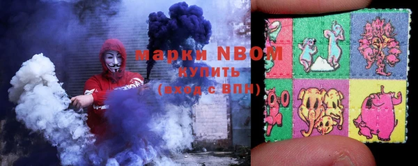 прущие грибы Алзамай