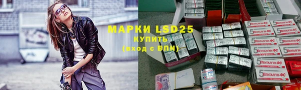 прущие грибы Алзамай